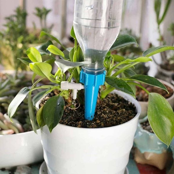 Tái chế chai nhựa thành hệ thống tưới nước tự chế