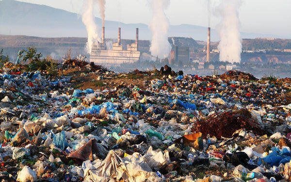 Phân loại dựa trên đặc tính hóa học