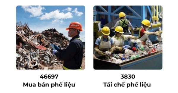 Cập nhật mã ngành nghề thu mua phế liệu theo quy định mới nhất