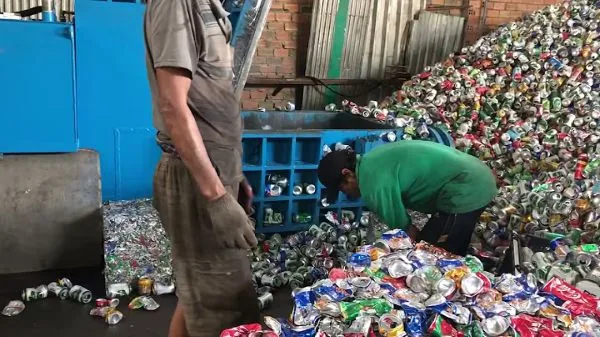 Phế Liệu Thành Long - Địa chỉ thu mua lon bia giá cao, uy tín