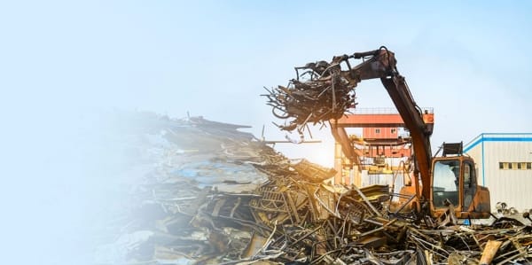 Giá thu mua cao nhất thị trường