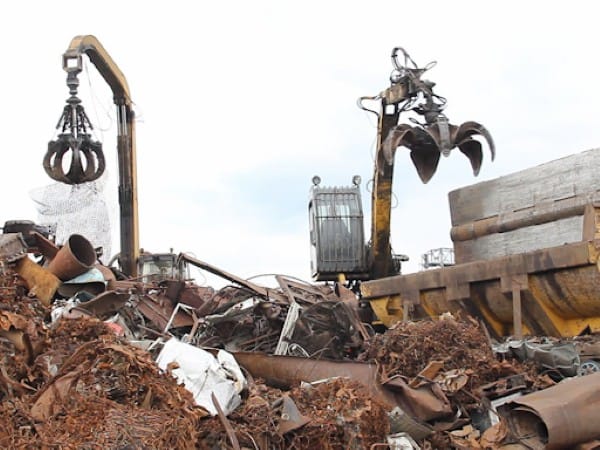 Quy trình thu mua chuyên nghiệp tại huyện Chương Mỹ