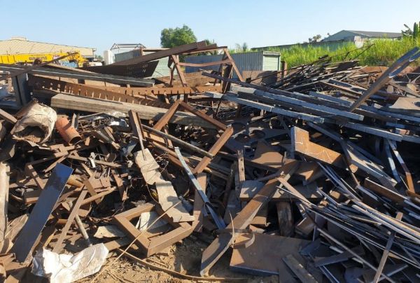 Mức giá thu mua cao hơn 15% - 30% so với thị trường