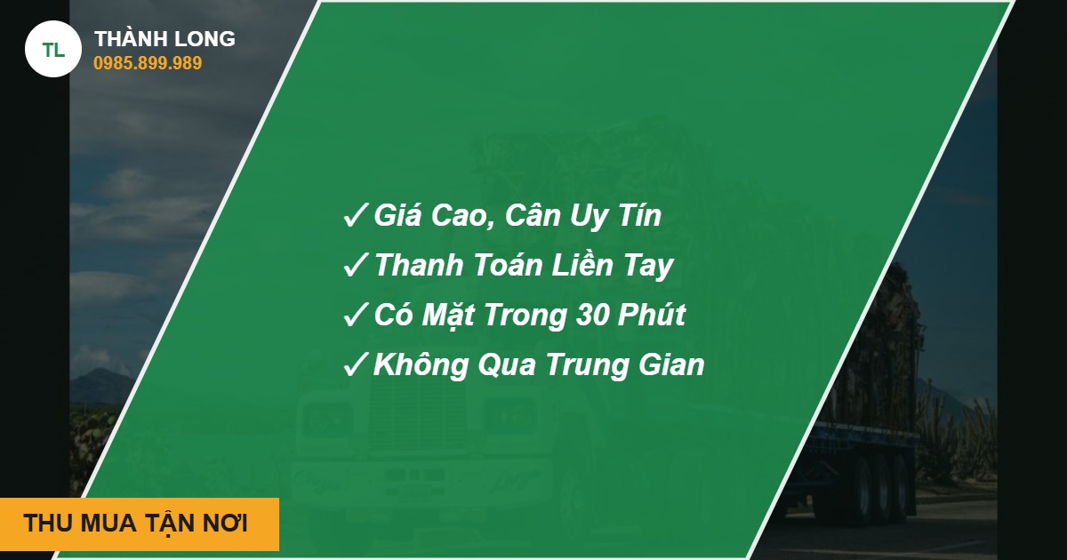 Thu mua phế liệu tận nơi THU MUA TẬN NƠI - Thành Long, hotline 0985.899.989